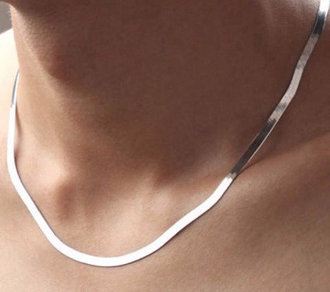 Clavicle Blade Chain Silver Necklace